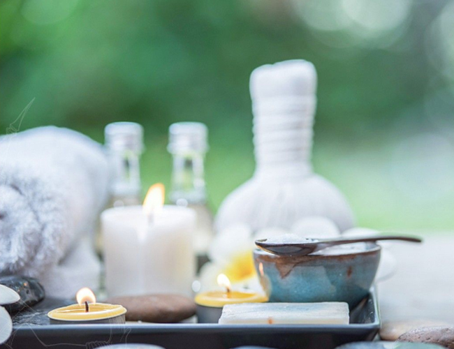 森林秘境：自然的怀抱